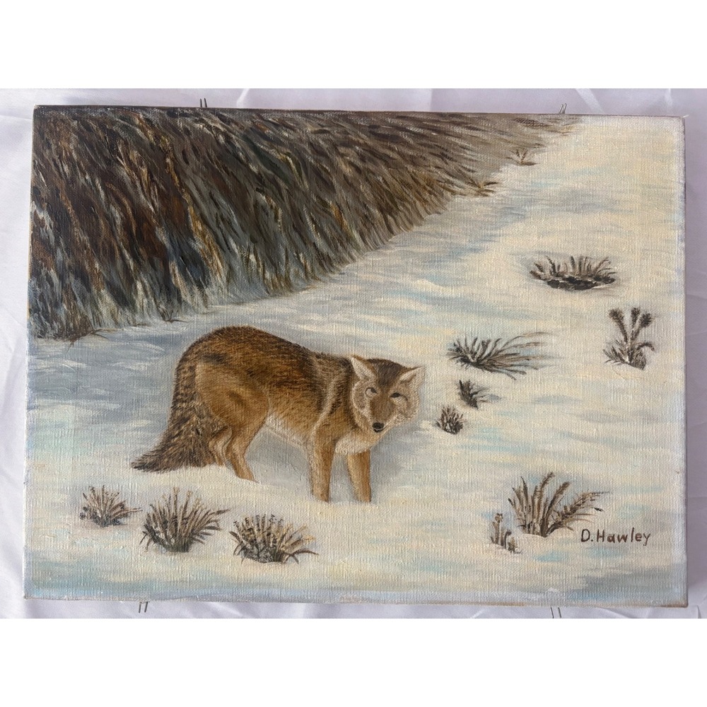 Vintage 1976 D Hawley Signed Coyote Oil Painting Snowy Winter Wildlife Art 16x12